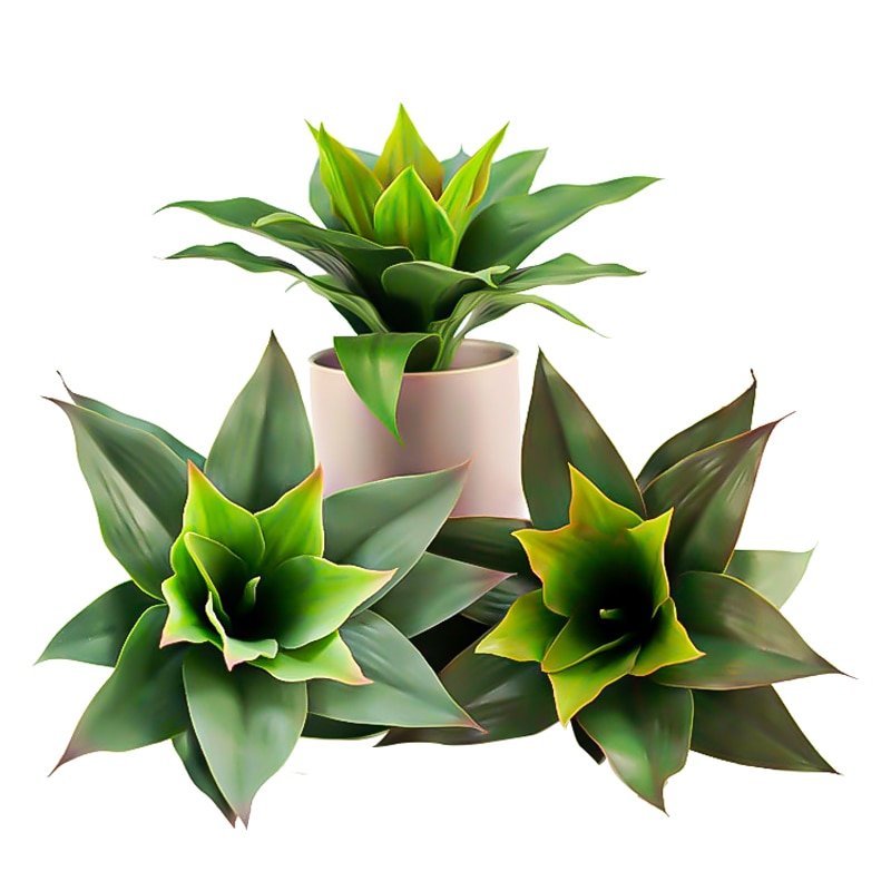 2pcs/lot Big Artificial Succulent Plants Plastic Aloe Fake Agave Tree Real Touch Leaf Air Plants For Home Desk Wall Garden Decor 1