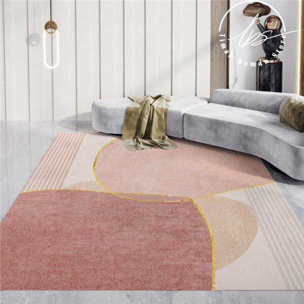 Nordic Wild Carpet Light Luxury Living Room Coffee Table Carpets Porch Kitchen Rugs Bedroom Sofa Floor Mat Home Non-slip Mats 6