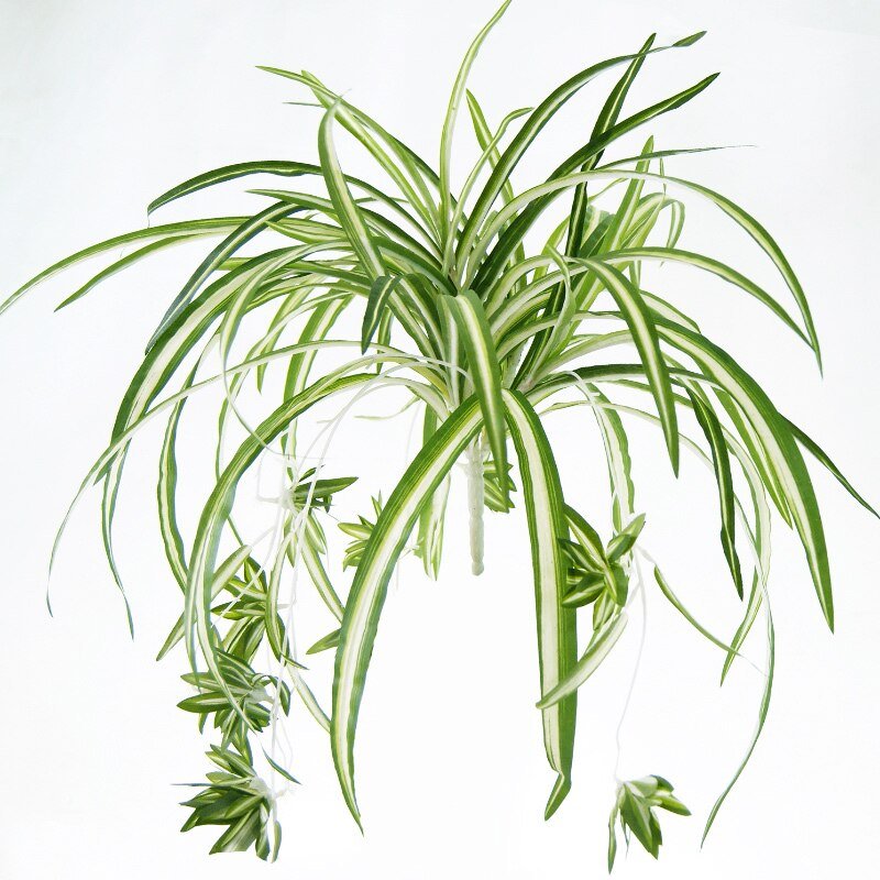 65cm 5 Fork Hanging Artificial Plants Green Leaves Fake Chlorophytum Flower Bouquet Silk Leafs large Foliage Wall Decor For Home 5