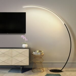Nordic Minimalist Creative C-shaped Lamp Living Room Sofa Bedroom Study Bedside Corner Led Dimmable Remote Control Floor Lamp 1