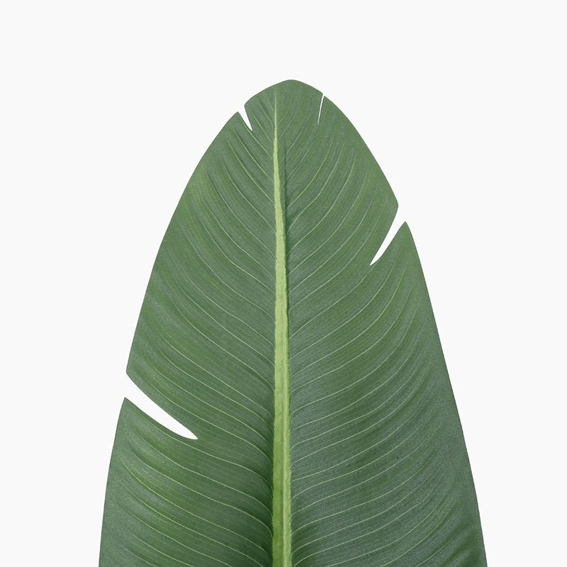 120-200cm Large Artificial Banana Tree Tropical Fake Plants Palm Leafs Monstera Green Plastic Jungle Plant for Home Office Decor 5