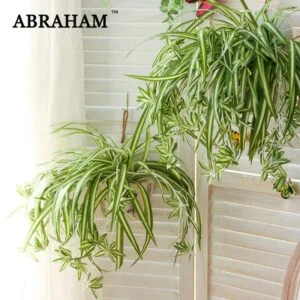 65cm 5 Fork Hanging Artificial Plants Green Leaves Fake Chlorophytum Flower Bouquet Silk Leafs large Foliage Wall Decor For Home 1