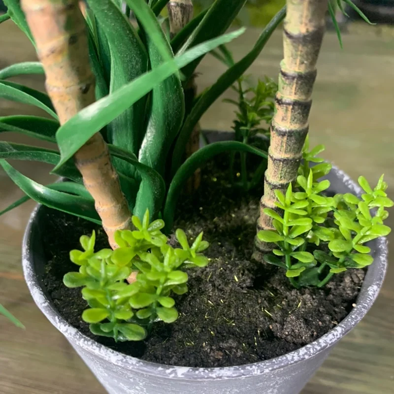 26/37cm Artificial Tropical Cactus Fake Succulents Plants Small Agave Bonsai Desert Dracaena Tree Potted for Home Desk Decor 4