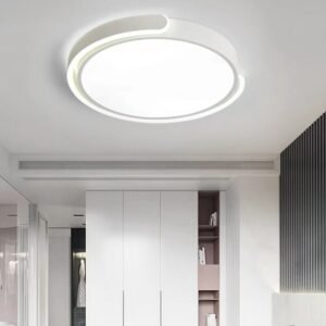 Modern LED Ceiling lights For Living Room Bedroom Kitchen ceiling Lamp Indoor Decor Lighting Fixtures AC85-265V 1