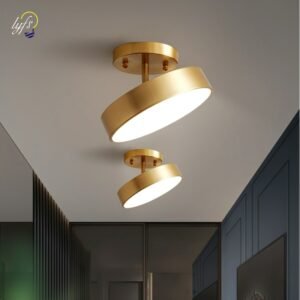 Nordic LED Ceiling Lamp Indoor Lighting For Home Aisle Balcony Hallway Entrance Cloakroom Living Room Decoration Ceiling Light 1