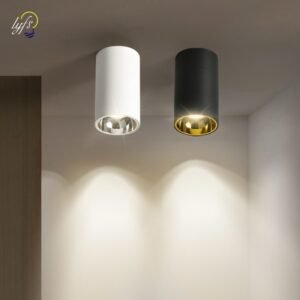 LED Ceiling Light Indoor Lighting Down Lights For Home Living Room Kitchen Bedroom Fixture Spotlight Dining Tables Decorative 1