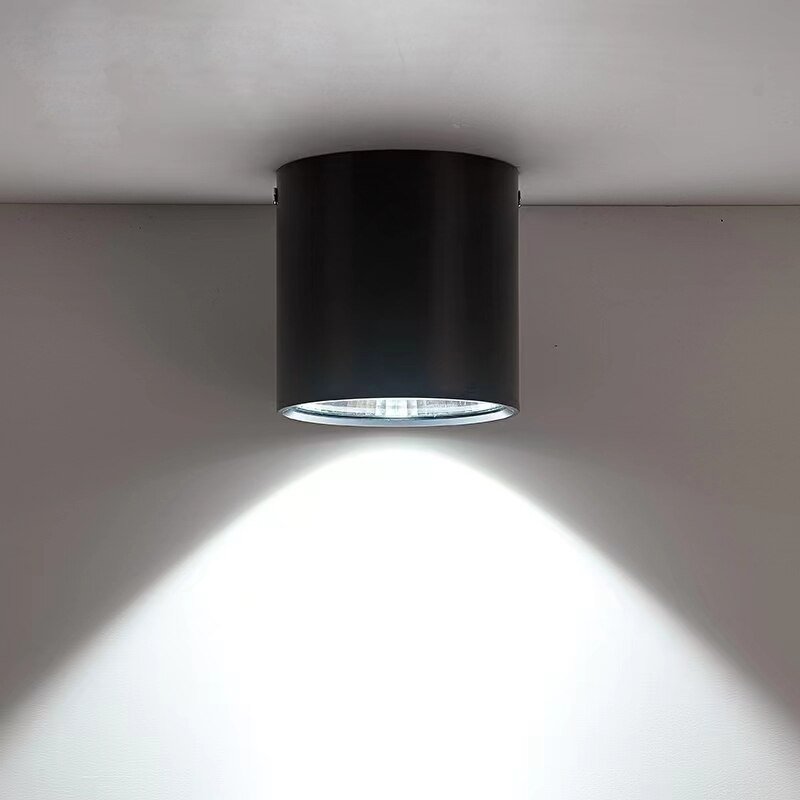 LED Pendant lights 10W 20W COB Ceiling Spot Lamp Down Light for Kitchen/Home/Office Indoor Lighting AC110V 220V 4