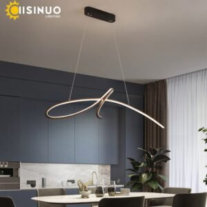 Modern LED Pendant Light Creative For Study Kitchen Dining Living Room Decrotio Cord Hanging Lustre Indoor Lamps Input AC90-260V 1