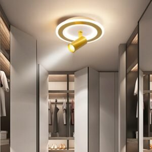 Modern Led Aisle Ceiling Lights Spiral Night Light Fixtures Gold Ceiling Lamp For Living Room Bedroom Corridor Mural spot light 1