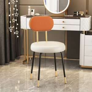Restaurant Modern Dining Chairs Luxury Living Room Vanity Dining Chairs Designer Salon Styling Cadeiras Furniture For Home 1
