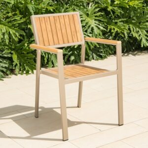 Arm Accent Dining Chairs Mobile Living Room Office Modern Outdoor Dining Chair Designer Wood Ergonomic Sillas Balcony Furniture 1