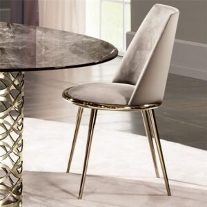 Manicure Modern Dining Chairs Velvet Luxury Fashionable Vanity Dining Chairs Living Room Salon Sillas De Comedor Furniture 1