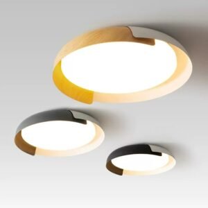 Modern Nordic LED Ceiling Light Round Lamps Home Bedroom Study Living Room 24W 36W Surface Mounted Ceiling Lighting Fixture 1