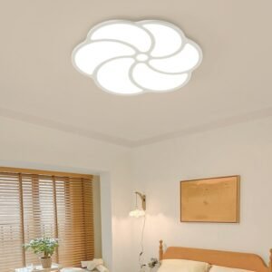 Modern Ceiling Lamps 48W LED 220V LED Ceiling Light For Living Room Bedroom Study Wall Lamp Indoor Home Lighting Ceiling Fixture 1