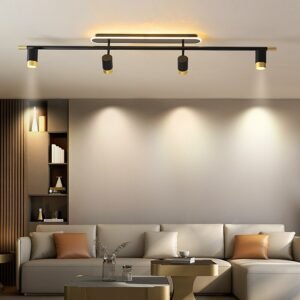 Modern Indoor Lighting Led Ceiling Lamp Black Chandelier Spotlight For Living Room Bedroom Dining Corridor Spot Light Fixtures 1
