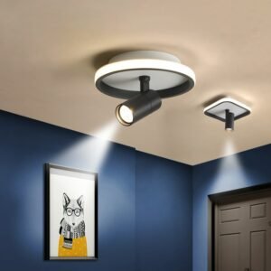 Nordic Ceiling Lights LED Aisle Lighting Surface Mounted Dimmable angle spotlight for Bedroom Living Room Corridor Balcony Lamp 1