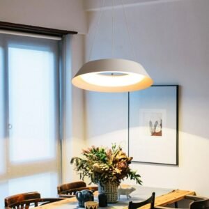 Modern Minimalist Bedroom Decorative Dining Room Led Ceiling Lamps Pendant Lights Indoor Lighting Interior Lighting Ceiling Lamp 1
