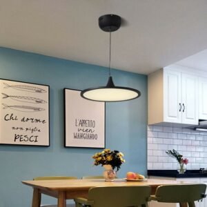 Nordic Led Restaurant Pendant Light For Bar Coffee Shop Round Hanging Lamp Black Light Luxury disc Lamp Fixtures 1