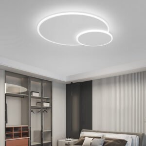 LED Ceiling Lamp Modern Ultra-thin Double Circular Shape Ceiling Light For Bedroom Living Room Indoor Lighting Ceiling Fixture 1