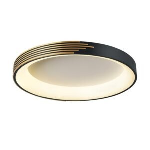 Nordic Luxury Simple Minimalist Round Led Ceiling Lamp Modern Gold Black Bedroom Bedside Balcony Corridor Porch Living Room Cafe 1