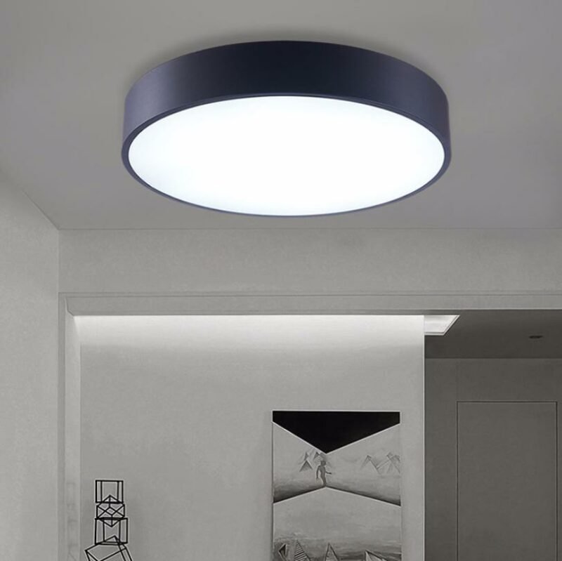 LED Ceiling Light Round Creative Personality Lighting Modern Simple Fashion Ceiling Light For Bedroom Office Balcony Light 2