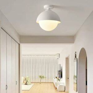 Modern Ceiling Lamps E27 Glass Lampshade Ceiling Light For Bedroom Corridor Indoor Lighting Decoration Fixture White Black 1