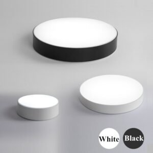 Modern Acry Alloy Round LED ceiling light Remote Control Black White Ceiling Lights Simple Decoration fixtures For  living room 1