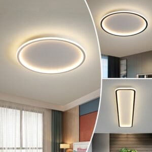 Modern Led Ceiling Light Ultra-Thin Bedroom Living Room Bedroom Closet Ceiling Lights Round Acrylic Lamp Shade Light Fixture 1
