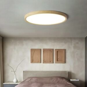 Ultra-Thin Led Ceiling Lights Minimalist Modern Bedroom Closets Ceiling Lamps Corridor Study Living Room Bedroom Light Fixture 1