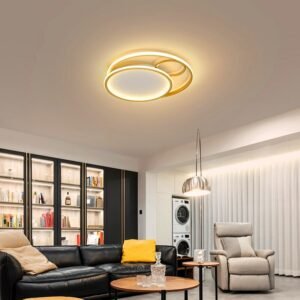 New Remote Control Ceiling Lamp Round Wrought Iron Bedroom Children's Room Ceiling Lamp Modern  Study Aisle Balcony Indoor Light 1