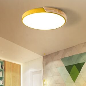 Nordic 5cm ultra-thin LED Ceiling light Round Acrylic Wood  Remote Control ceiling Lamp For dining room Living Room kid's room 1