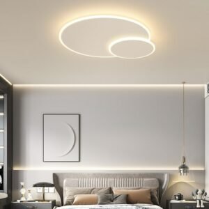 Modern LED Ceiling Lamps Ultra-thin Double Circular Shape Ceiling Lights For Bedroom Living Room Indoor Lighting Ceiling Fixture 1