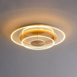 Gold Modern LED Ceiling Light for Room Decoration Bedroom Kitchen Bar Lamp Acrylic Flying Saucer Lighting Applicance Chandelier 1