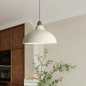 Nordic Pendant Lights Industrial Hanging Lamps Indoor Lighting Fixture For Living Dining Kitchen Decor Black White Pendant Light 1