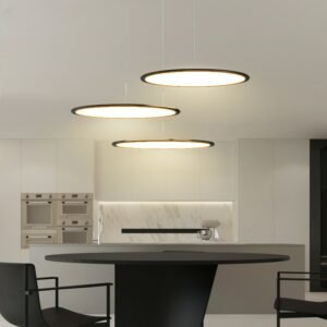 Modern LED   Remote Dimming Chandelier Lighting Simple Round Black White Living Dining Room Pendant Bedroom Indoor Hanging Lamp 1