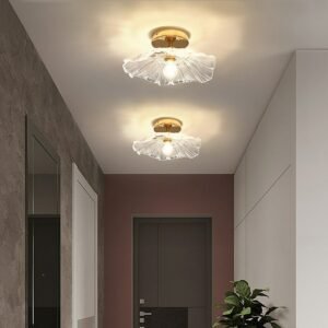 Led Glass Ceiling Lights Modern For Bedroom Living Room Kitchen Corridor Aisle Entrance Decoration  Indoor Ceiling Lamp 1