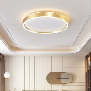 New Ring Black Gold  Ceilling Light  For Living Room lighting  Led Ceilling  Lamp  For Indoor Restaurant  Home Decor  Light 1