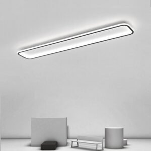 Ultra-Thin Led Ceiling Lamps Rectangular Round Atmospheric Black And White Light Fixture Bedroom Study Living Room Ceiling Light 1